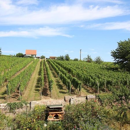La Belle Alsacienne - Route Des Vins D'Alsace Hotel Hattstatt Luaran gambar