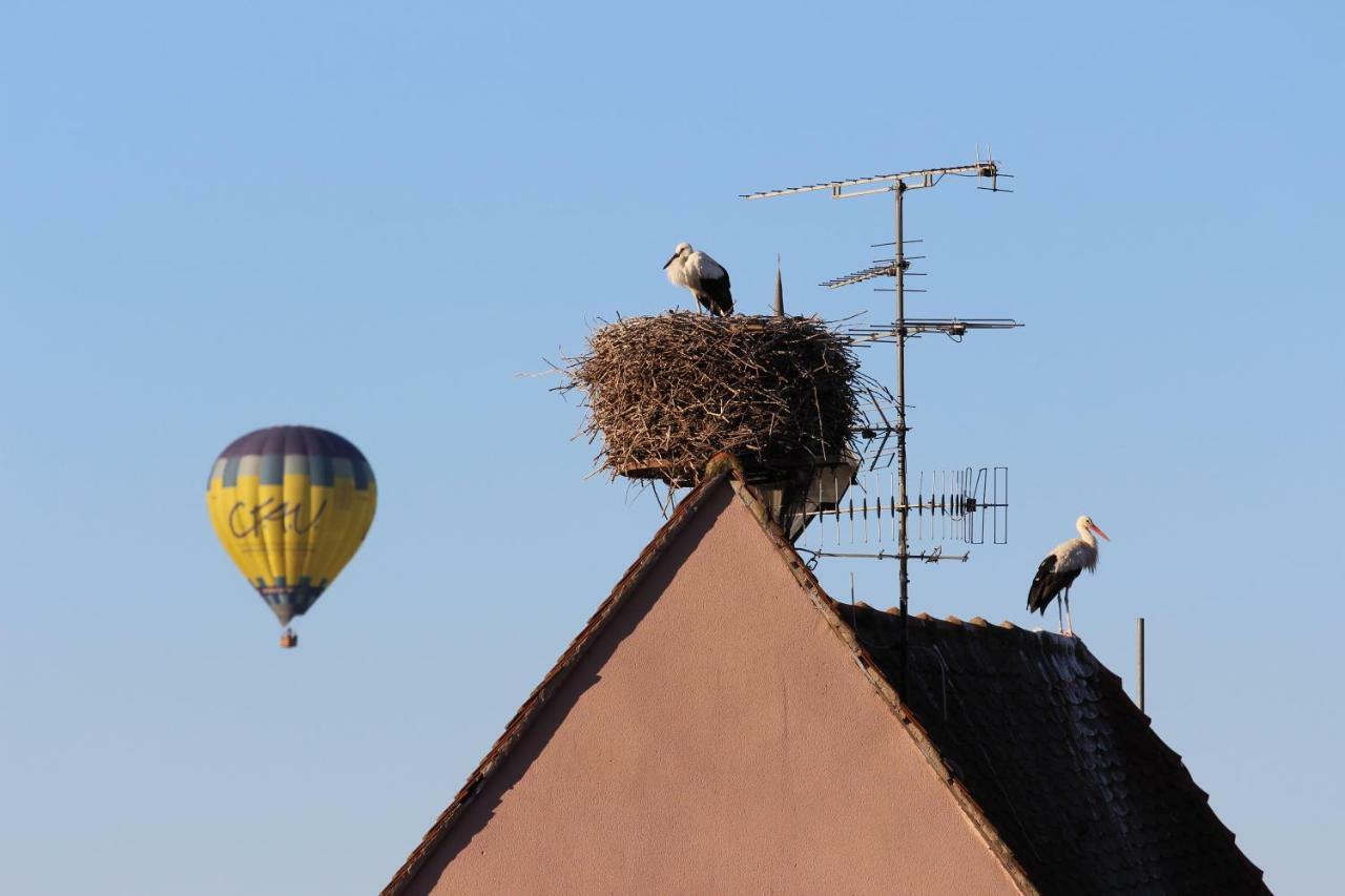 La Belle Alsacienne - Route Des Vins D'Alsace Hotel Hattstatt Bilik gambar