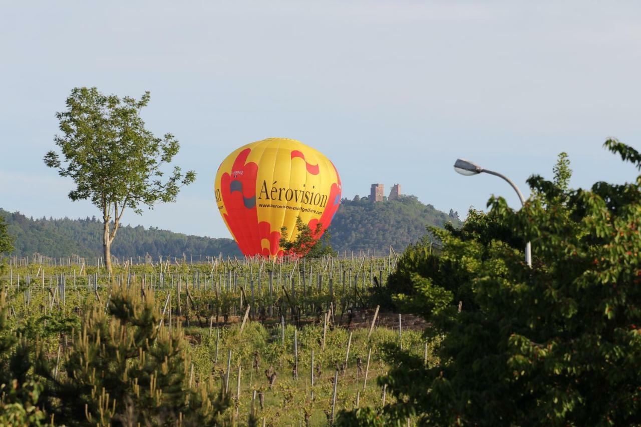 La Belle Alsacienne - Route Des Vins D'Alsace Hotel Hattstatt Bilik gambar
