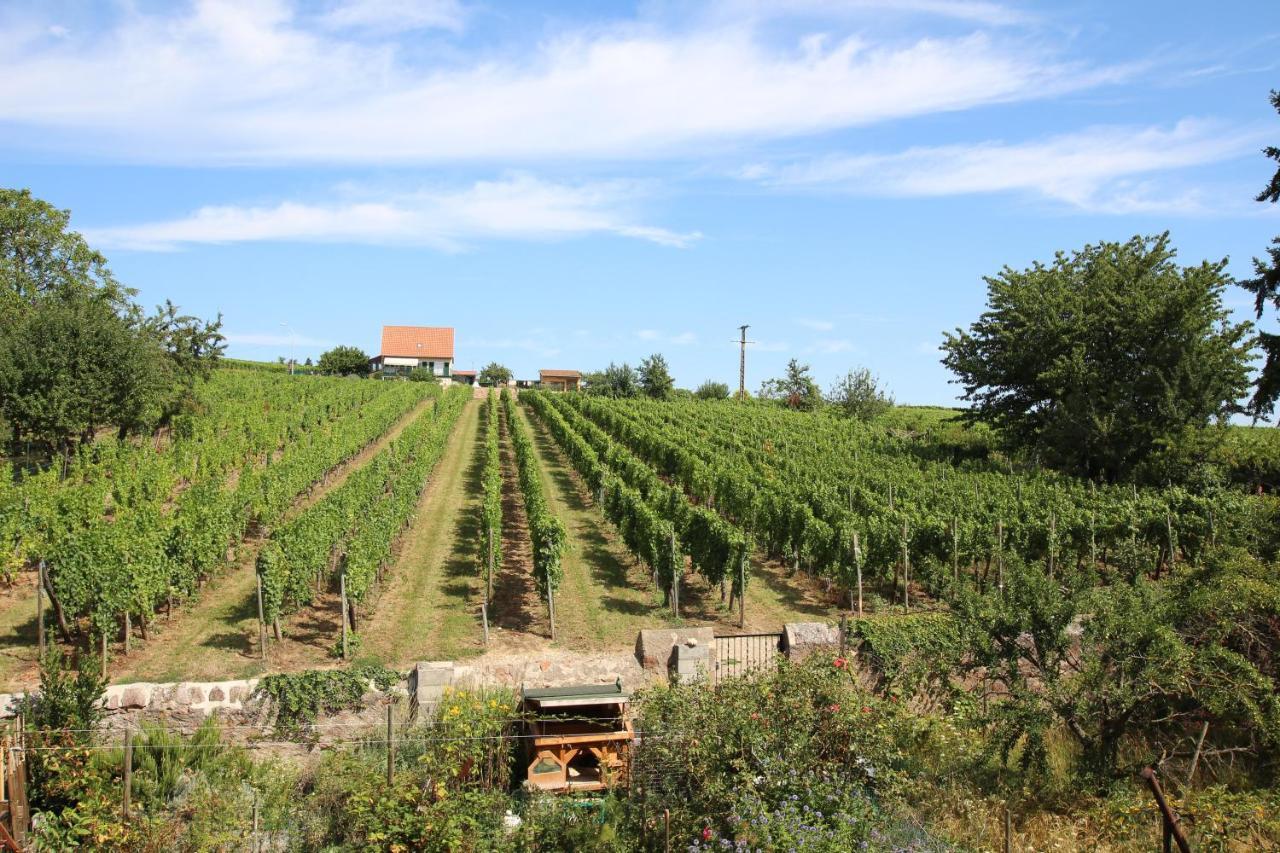 La Belle Alsacienne - Route Des Vins D'Alsace Hotel Hattstatt Luaran gambar